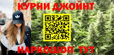 прущие грибы Нягань
