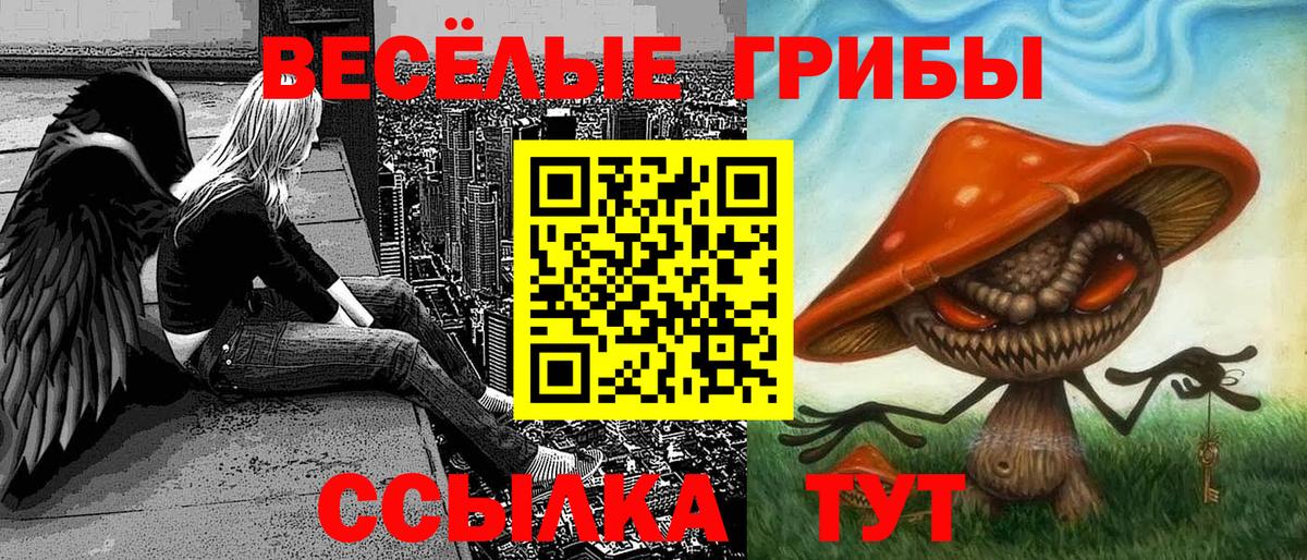 купить наркотик  Галлюциногенные грибы MAGIC MUSHROOMS  Вход с VPN  Учалы  Галлюциногенные грибы Psilocybe 